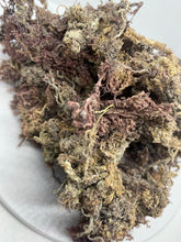 Load image into Gallery viewer, Raw Wildcrafted PURPLE Jamaican Irish Sea Moss
