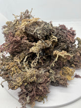 Load image into Gallery viewer, Raw Wildcrafted PURPLE Jamaican Irish Sea Moss
